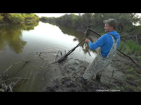 Видео: Щуки в переплюйке. Осенний жор продолжается.