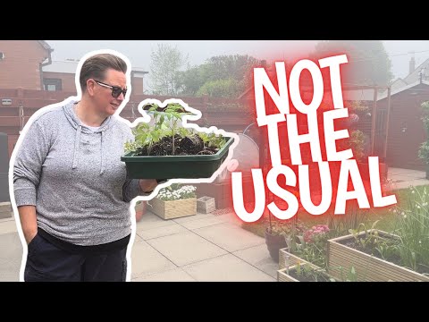 Видео: Наш майский сад и бесконечный список | садовый видеоблог