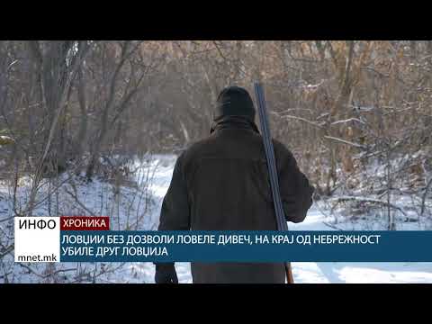 Видео: Ловџии без дозволи ловеле дивеч, на крај од небрежност убиле друг ловџија