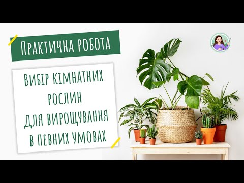Видео: Практична робота "Вибір кімнатних рослин для вирощування в певних умовах"