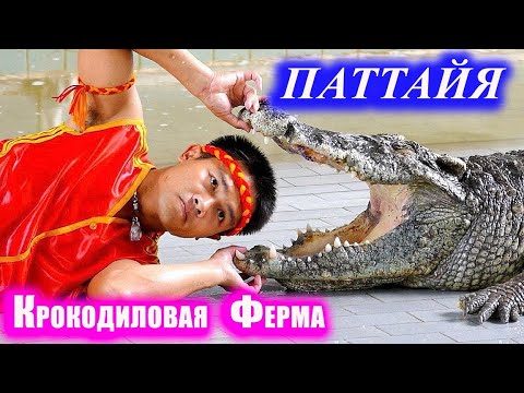 Видео: Паттайя. Крокодиловая ферма. Таиланд.