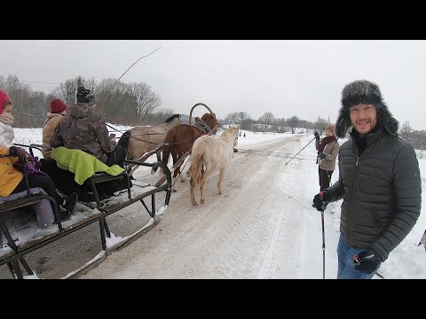 Видео: Краснолесье и Токаревский мост. Северная ходьба в Калининградской области