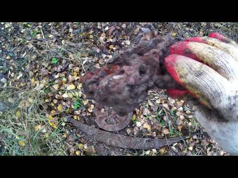 Видео: Металлокоп ⚙ Хорошие находки в копилку!!!