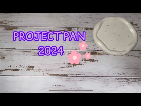 Видео: Project pan 2024 / Использовать и выбросить