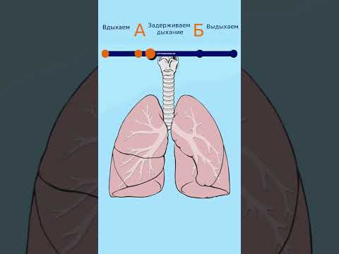 Видео: Тест на здоровые легкие #shorts