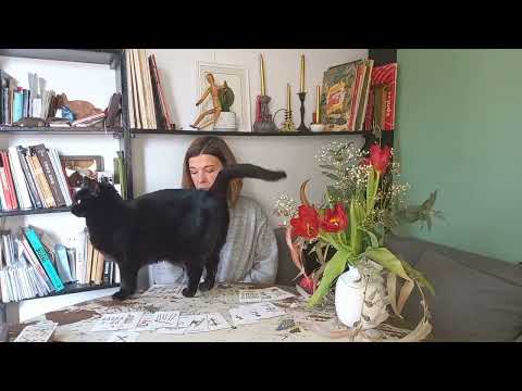 Видео: 🔥 К ЧЕМУ ПРИДУТ НАШИ ОТНОШЕНИЯ?