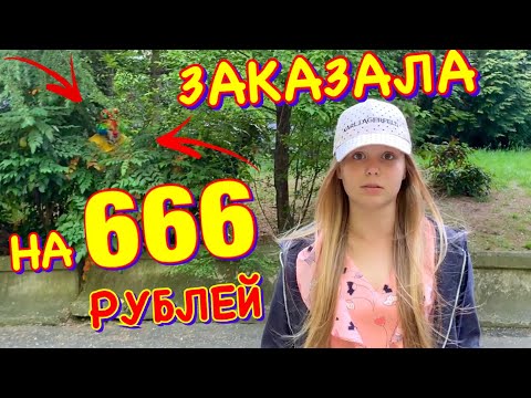 Видео: ЗАКАЗАЛА на 666 рублей в Макдональдс