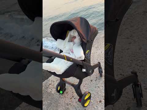 Видео: 10 ноября 2025 г.