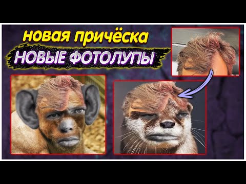 Видео: ФОТОЛУПЫ с новой причёской l Стример в шоке! @GLADIATORPWNZ