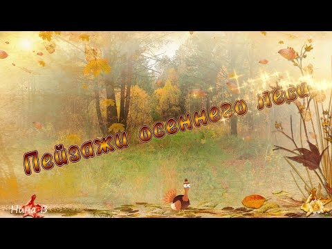 Видео: Пейзажи осеннего леса /Музыка Сергея Чекалина/