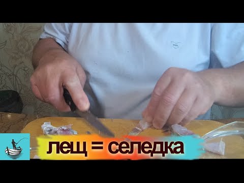 Видео: селедка из леща   /  сами ловим , сами солим