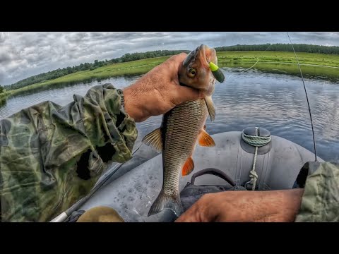 Видео: ГОЛАВЛЬ. Ловля на ВОБЛЕРЫ. Рыбалка на спиннинг.