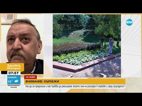 Видео: Кантарджиев за бума на кърлежи: Пазете се от местата, обрасли в бръшлян - Здравей, България