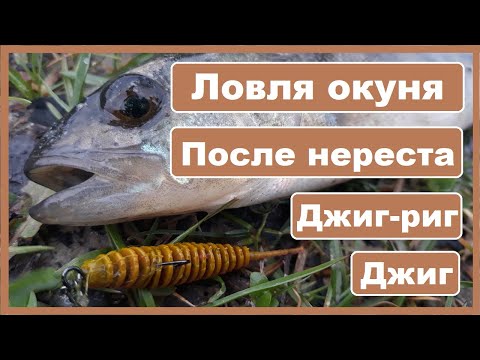 Видео: Ловля окуня на джиг после нереста в плохую погоду, ветер