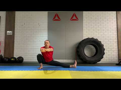 Видео: Перекаты+выпады