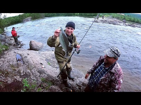 Видео: МЫ ЕЁ ЖДАЛИ 2 ГОДА / ГОРБУША  / WE HAVE BEEN WAITING FOR HER FOR 2 YEARS / PINK SALMON