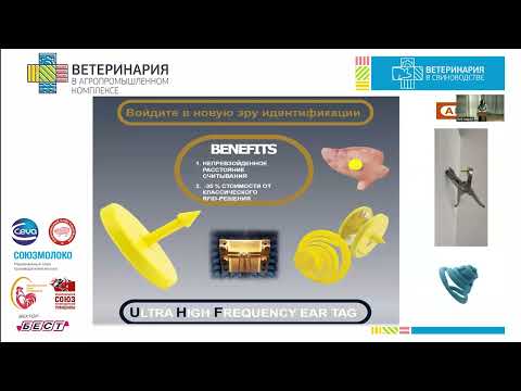 Видео: Андрющенко В.В. Передовые технологии в идентификации животных.