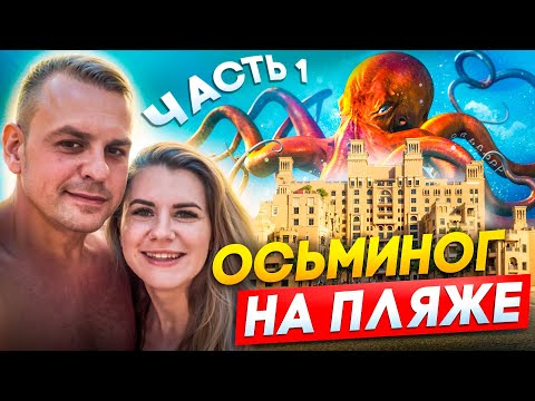 Видео: SHERATON SHARJAH BEACH RESORT & SPA 5* - Еда, Море, Бассейн