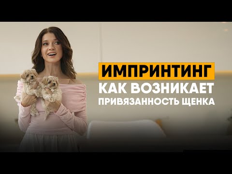 Видео: Что такое импринтинг. Первая привязанность у собак и людей. Почему щенок кусается.