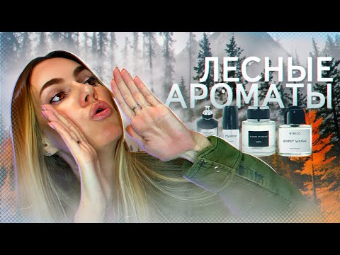 Видео: ДРЕВЕСНЫЕ МЕДИТАТИВНЫЕ АРОМАТЫ/ ЛЕС ВО ФЛАКОНЕ