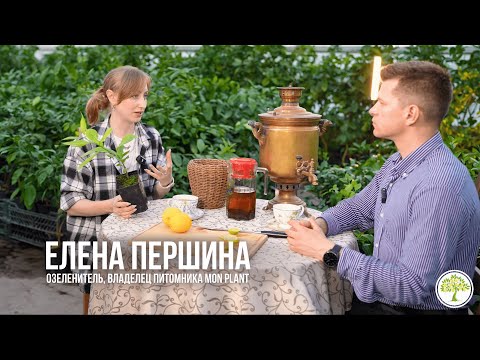 Видео: Джунгли дома: уход за растениями без ошибок с озеленителем Еленой Першиной | Павловский питомник