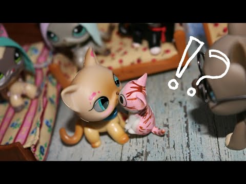 Видео: LPS: ПРАВДА ИЛИ ДЕЙСТВИЕ #1 🌚