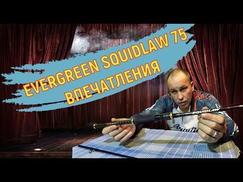 Видео: EVERGREEN SQUIDLAW  NIMS 75 MH - Мои впечатления от спиннинга