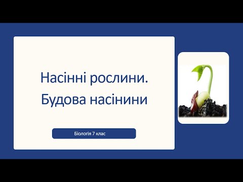 Видео: Насінні рослини. Будова насінини