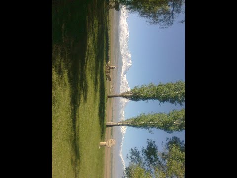 Видео: Ыр кесе 1999 жыл Шекер айылы