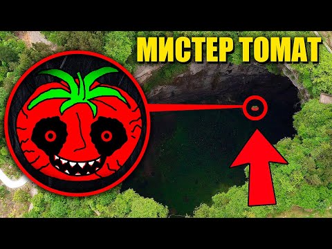 Видео: зря мы нашли МИСТЕРА ПОМИДОРА он очень голодный!😱 **Mr. Tomatos В реальной жизни**