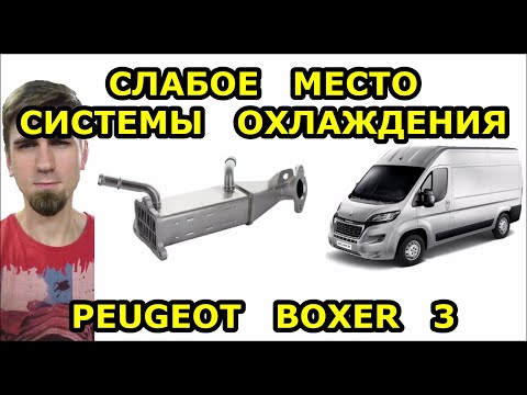 Видео: !! ЭТУ НЕИСПРАВНОСТЬ ОБНАРУЖАТ НЕ СРАЗУ !! ЗАМЕНА ТЕПЛООБМЕННИКА ЕГР ПЕЖО БОКСЕР 3 / PEUGEOT BOXER 3