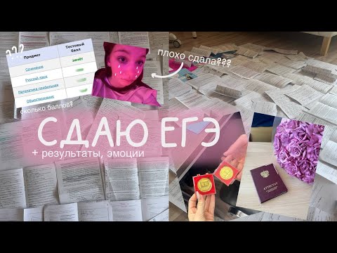 Видео: СДАЮ ЕГЭ + результаты, эмоции // русский язык, профмат, общество