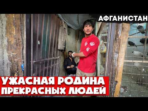 Видео: Реакция на Русского в Кабуле. В гостях у Афганцев