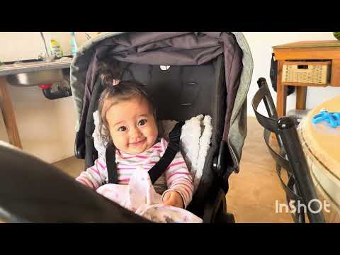 Видео: Влог: что мы готовим/едем на природу/обзор домика и бешеные цены