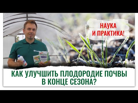 Видео: Как подготовить почву осенью к следующему сезону? Эксперт Дмитрий Скотников
