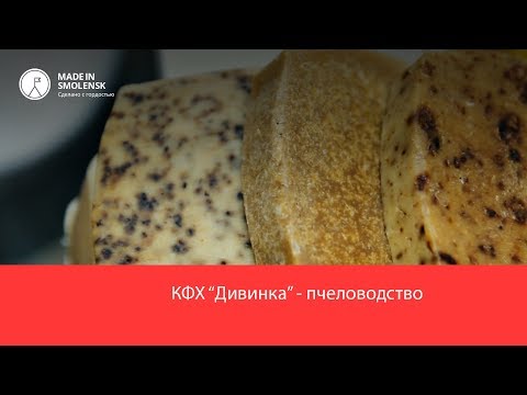 Видео: КФХ "Дивинка" - пчеловодство