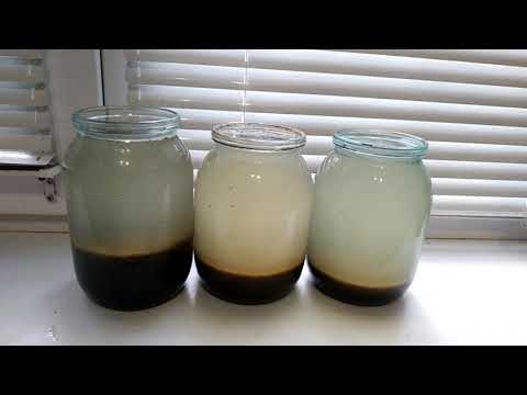 Видео: Глиняные шарики для подкормки аквариумных растений