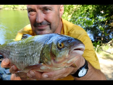 Видео: Два дни на р. Велека