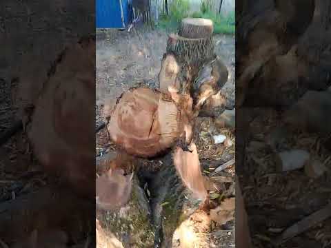 Видео: Почему ленточная пила уходит вниз или в верх