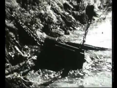 Видео: Болота Беларуси под угрозой уничтожения | Film Studio Aves
