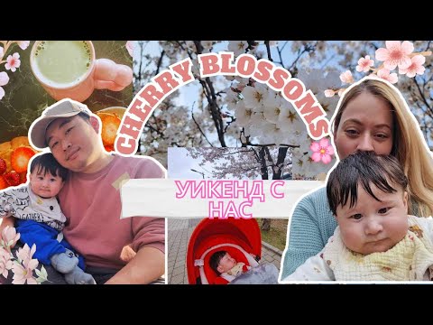 Видео: С бебе ТЕО сред ВИШНИТЕ-Пролетен ГРИМ,ПИКНИК,забавна случка с КОРЕЙСКАТА ПОЛИЦИЯ и още много.