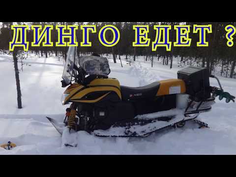 Видео: Мнение о DINGO T 150