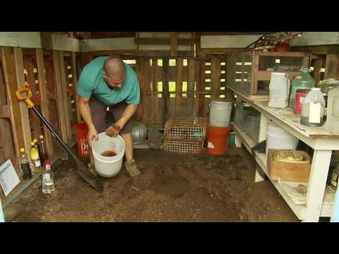 Видео: Корейское натуральное земледелие: как это сделать: ИМО 4