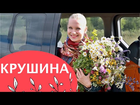 Видео: Легендарный хит Александра Заволокина! Ансамбль Вечерка, Александра Тушина! Песня, ставшая народной!