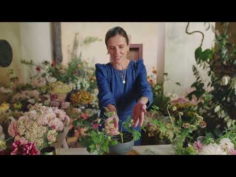 Видео: Основы флористического дизайна — элегантная композиция в центре композиции
