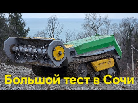Видео: Хард тест саранчи в Сочи!