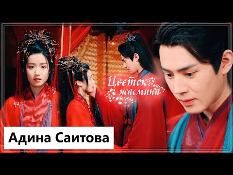 Видео: Клип на дораму Семь жизней до счастья | Love You Seven Times - Цветок жасмина (Jin Luo 💕 Zi Hui) MV