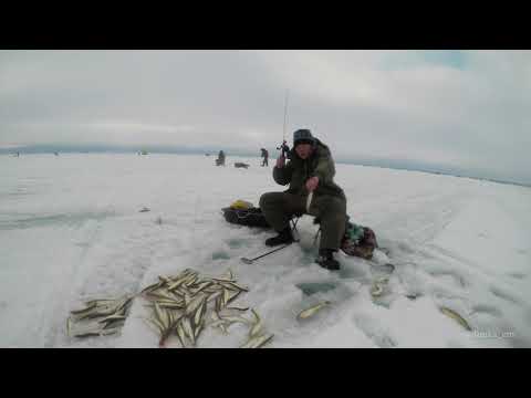 Видео: Зимняя рыбалка на Сахалине. 17 марта 2019 года. Зубарь в Охотске