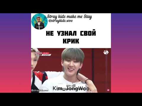 Видео: Милые и смешные видео stray kids / 2 часть / By Kim_JongWoo