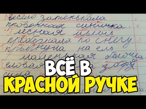 Видео: Проверяю рабочие тетради по русскому языку - 3 класс #42